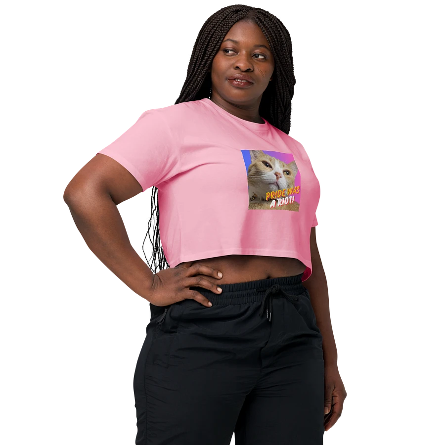 Moxie Bi-Pride Crop Top Tee product image (46)