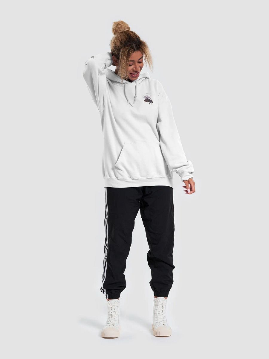Church of Bahamut Classic Hoodie product image (6)