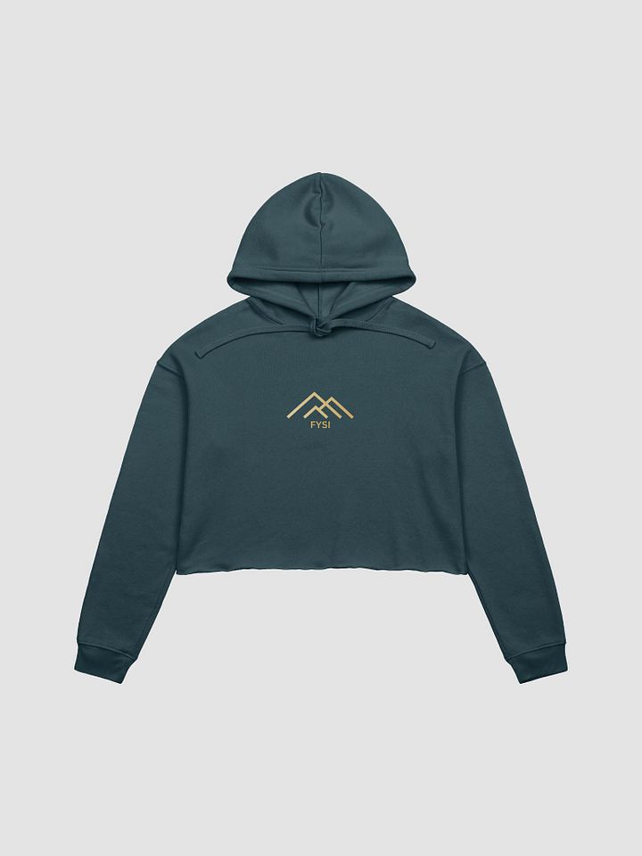 Graphic logo fleece crop hoodie product image (1)