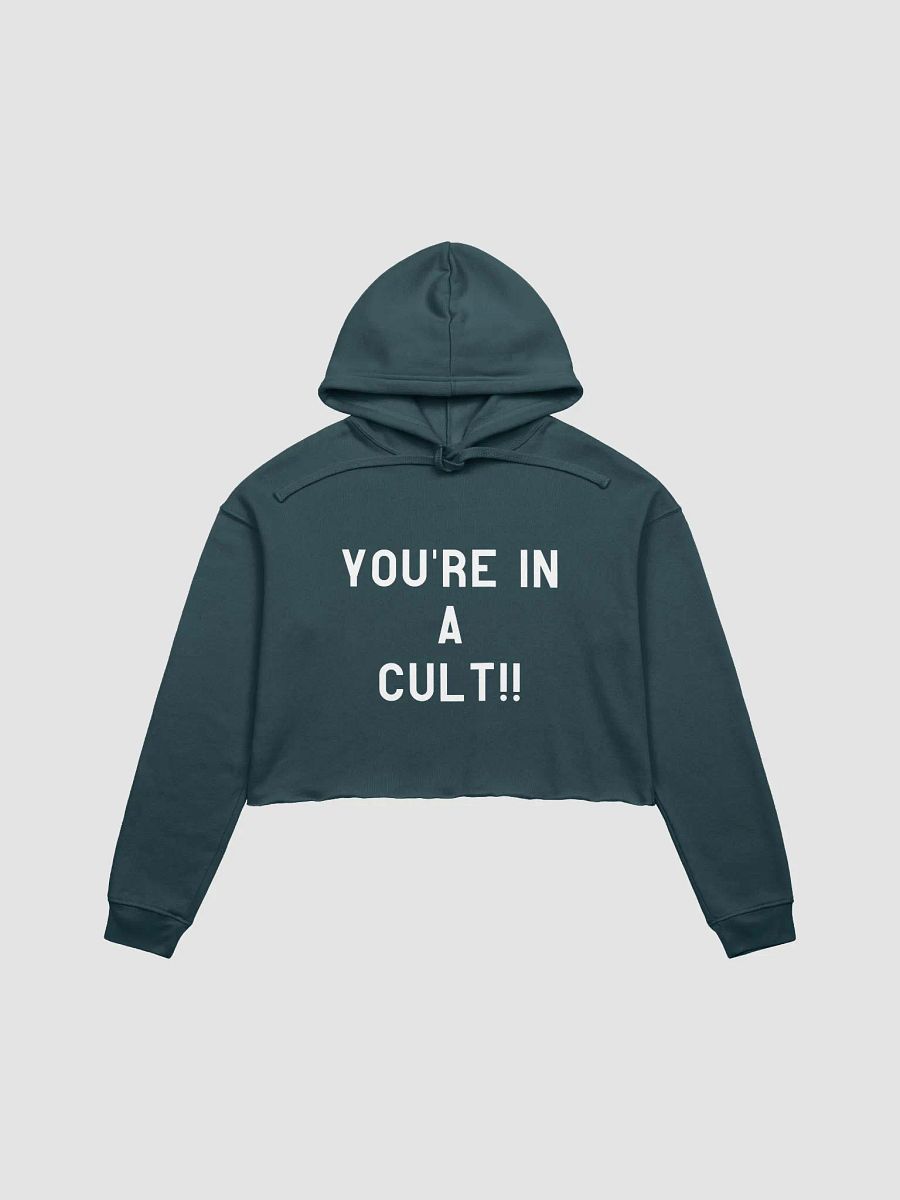 Pris- You're In A Cult -Bella+Canvas Fleece Crop Hoodie product image (5)