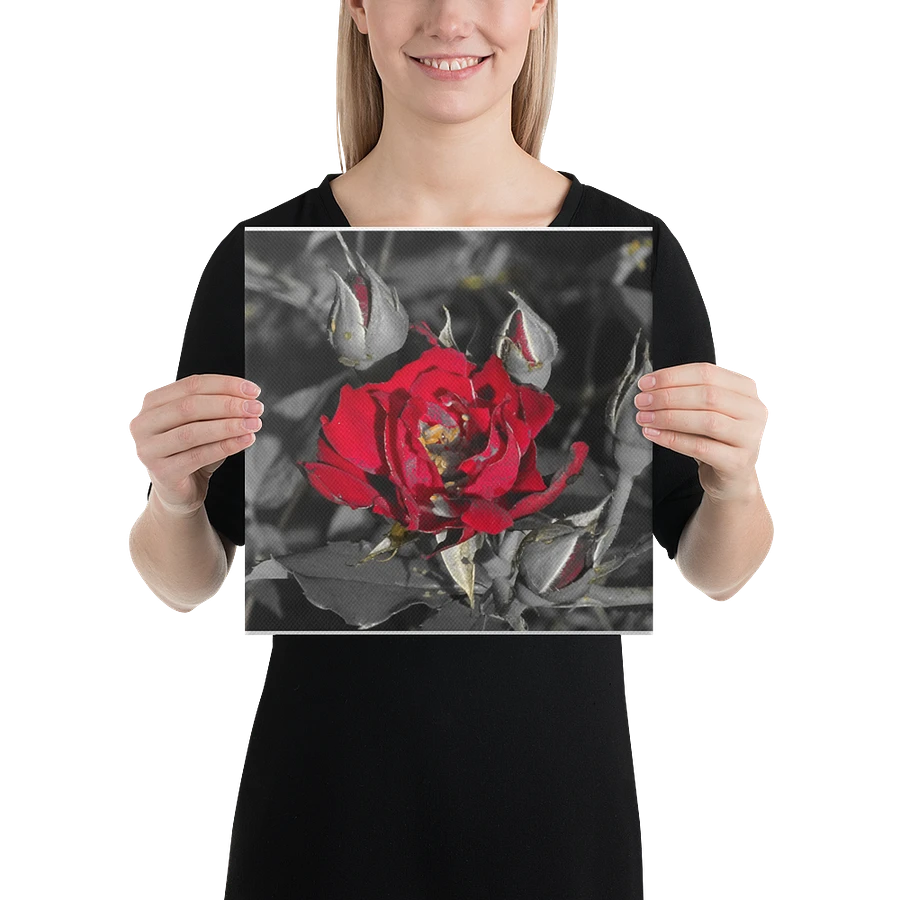 Rose on Canvas product image (2)