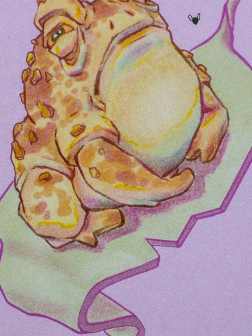 TOAD ON A LEAF PRINT product image (2)