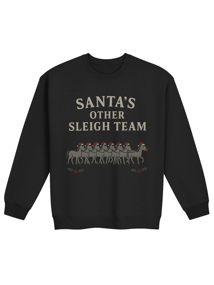 The Other Sleigh Team Sweatshirt product image (1)