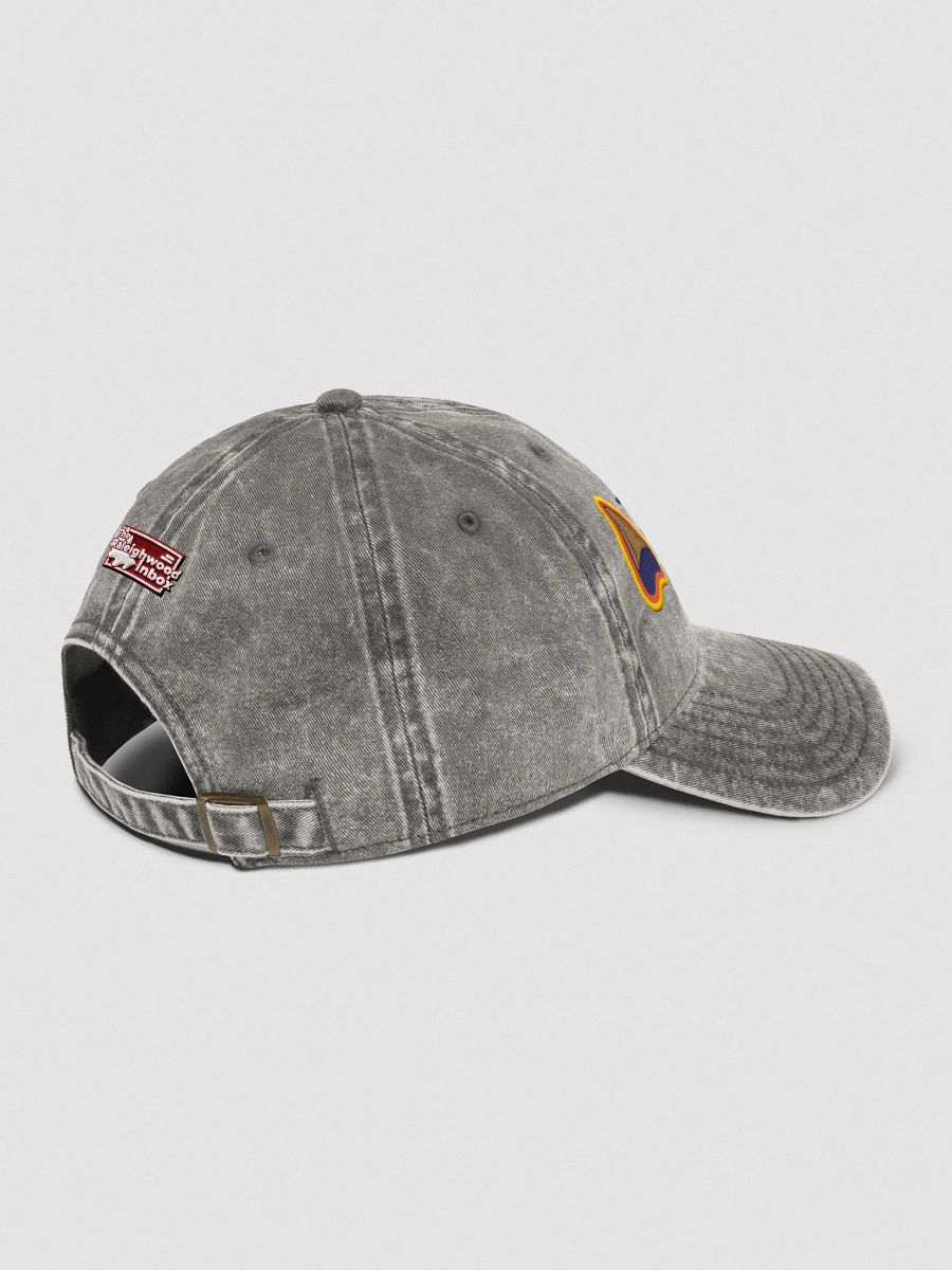 Megalodon Tooth Dad Hat - Summer 2025 product image (4)