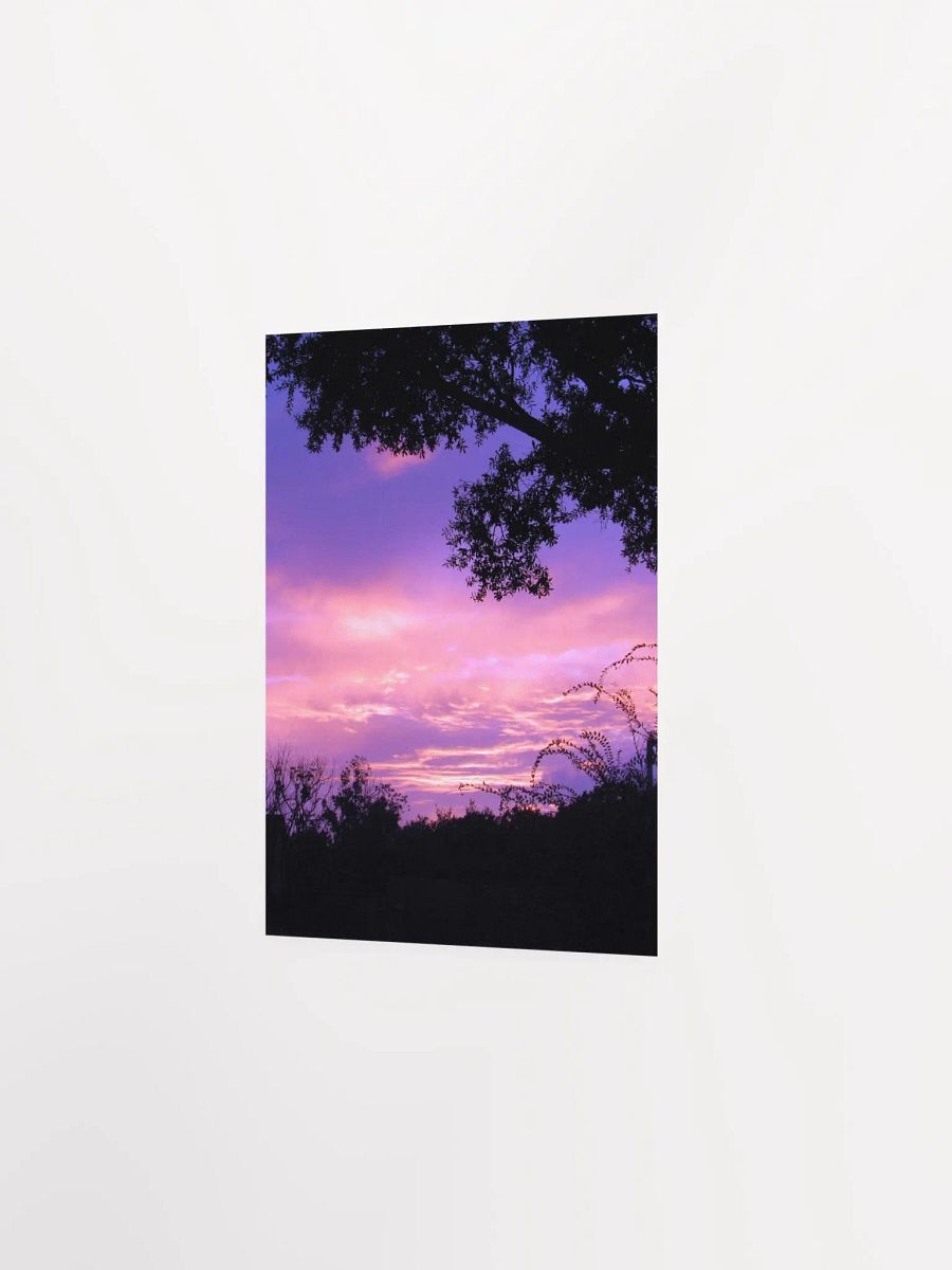 Florida Sunset product image (18)