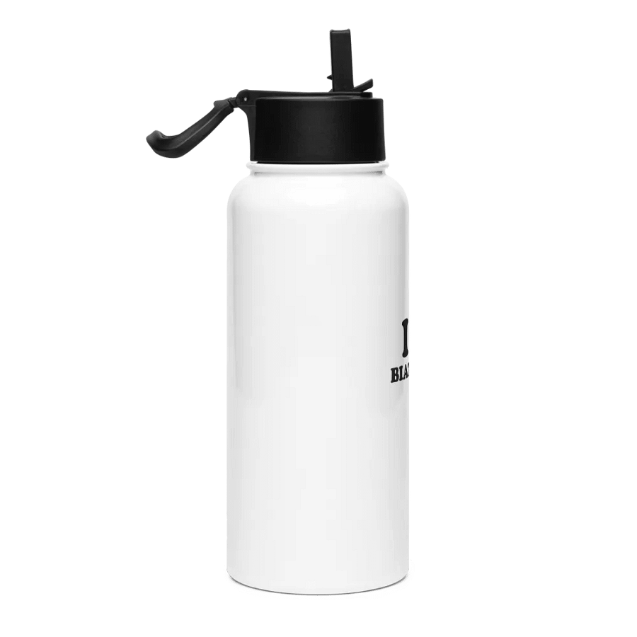 Stainless Steel Water Bottle with a Straw Lid product image (4)
