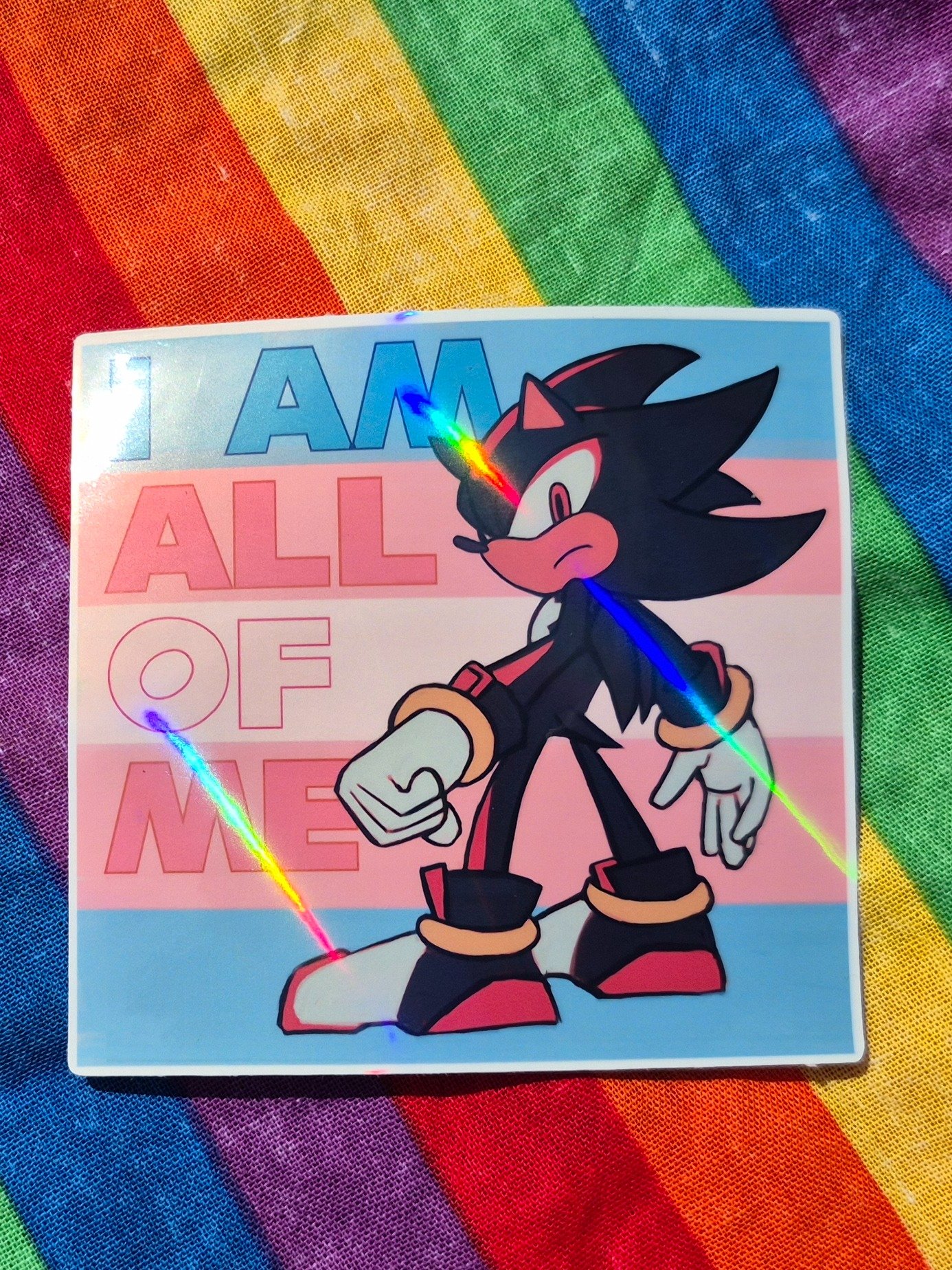Trans Shadow the Hedgehog Sticker product image (1)