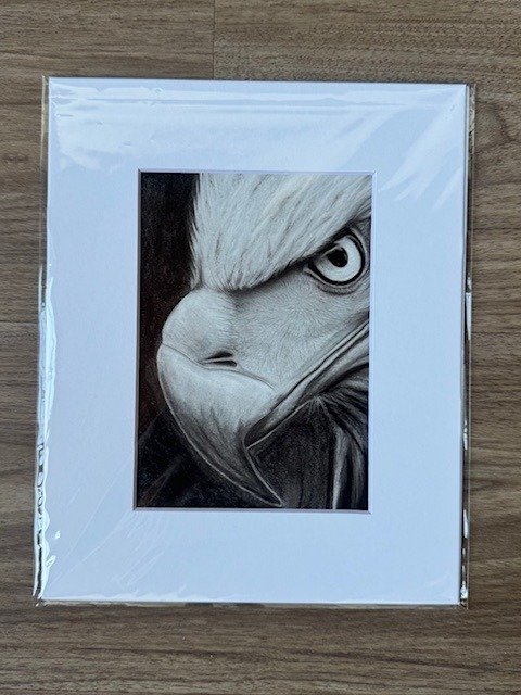 bald eagle charcoal print - 5x7" product image (1)