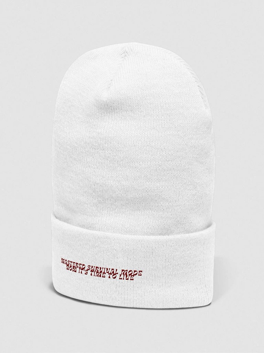 Survival Mode OFF: Cozy Textured Yupoong Beanie product image (3)