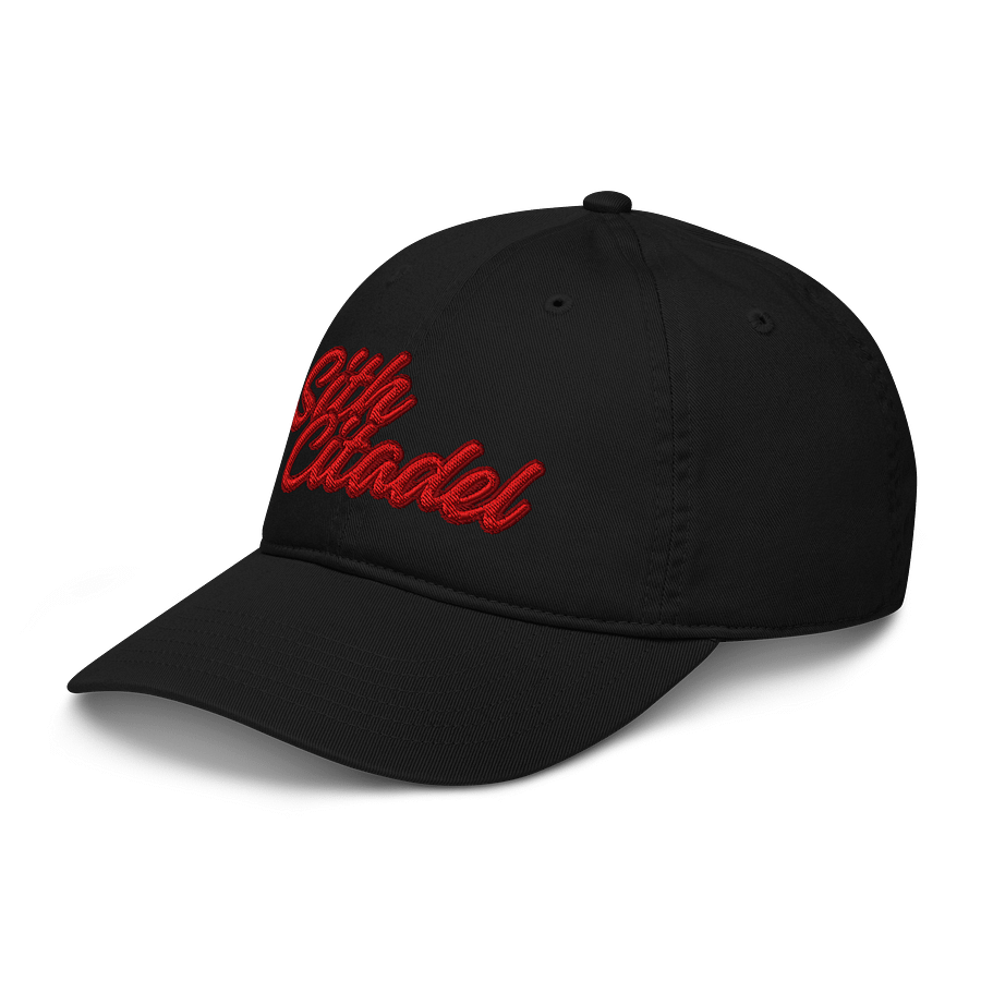 Sith Citadel Organic Dad Cap product image (4)