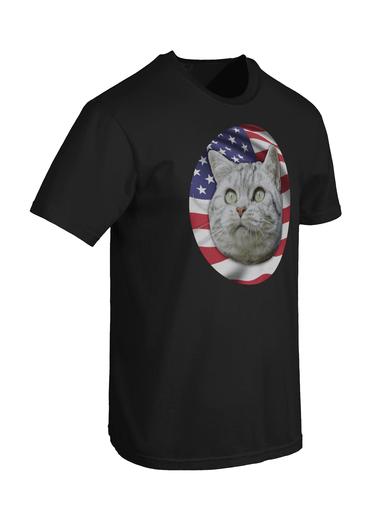 PATRIOTIC CAT LOGO (Heavyweight shirt) product image (8)