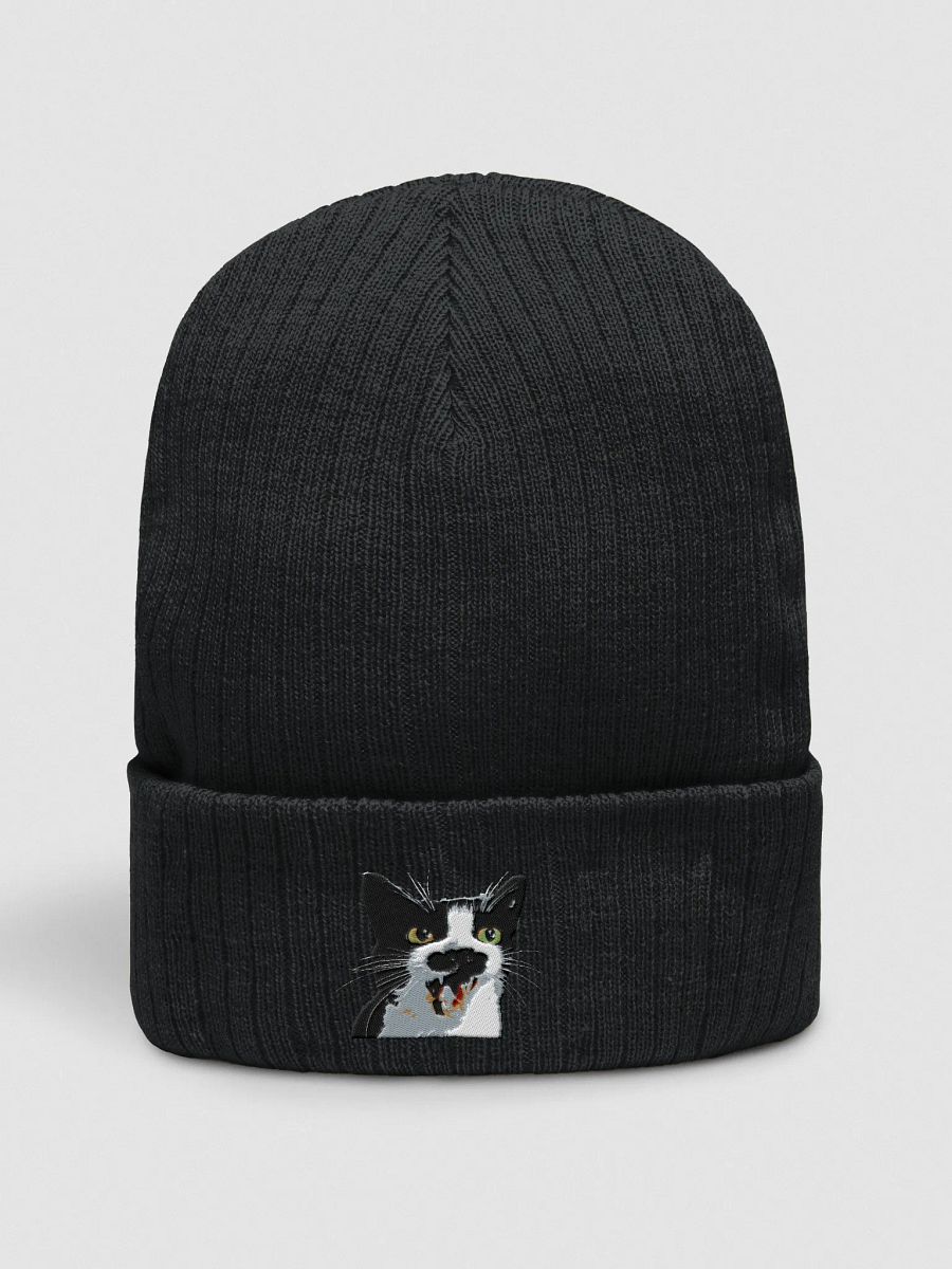 Loki Cuffed Beanie product image (1)