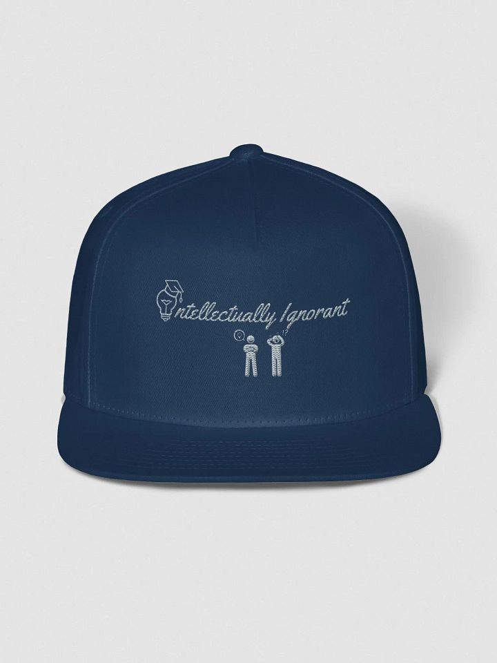 Intellectually Ignorant Grey logo Snap back product image (1)