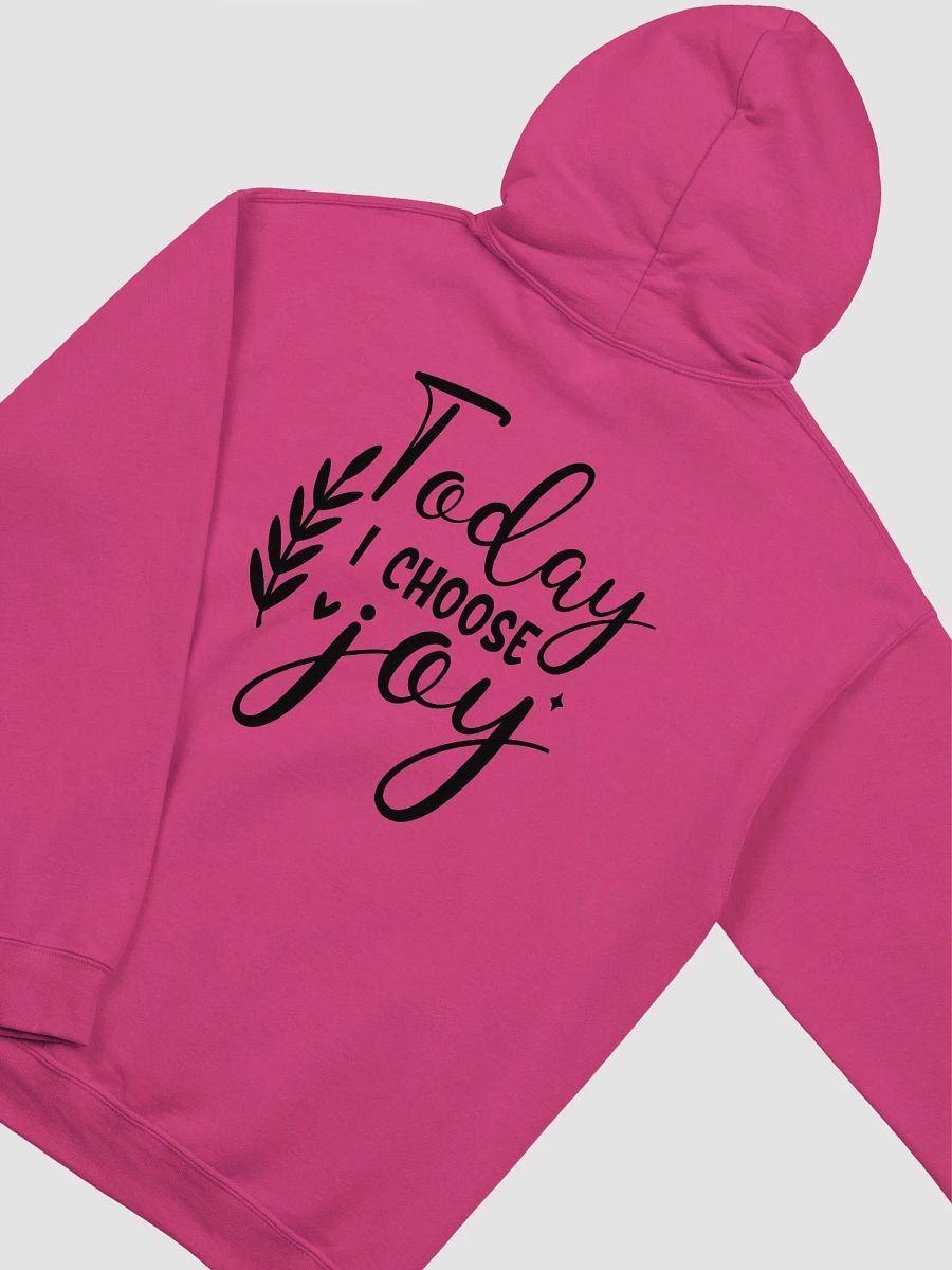 Joy Hoodie product image (4)