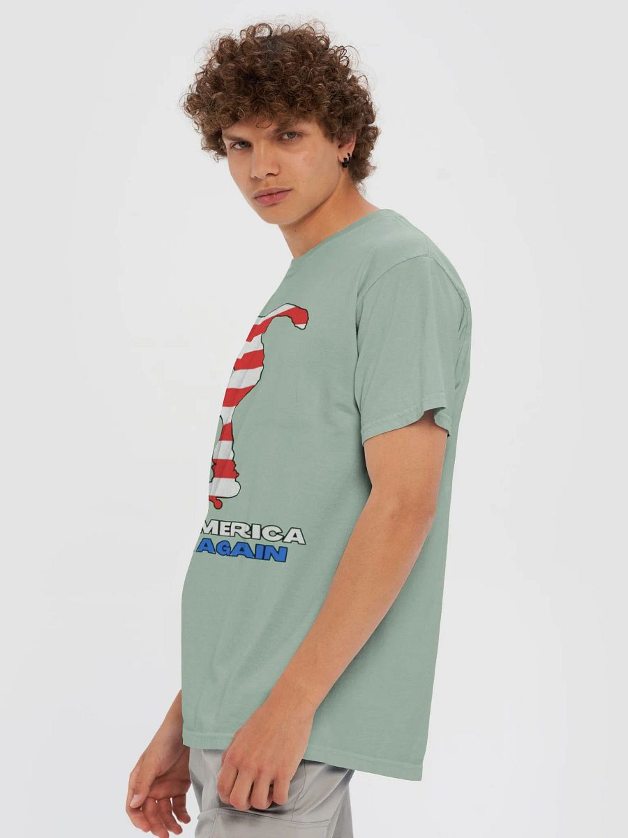 MAKE AMERICA SKATE AGAIN product image (79)