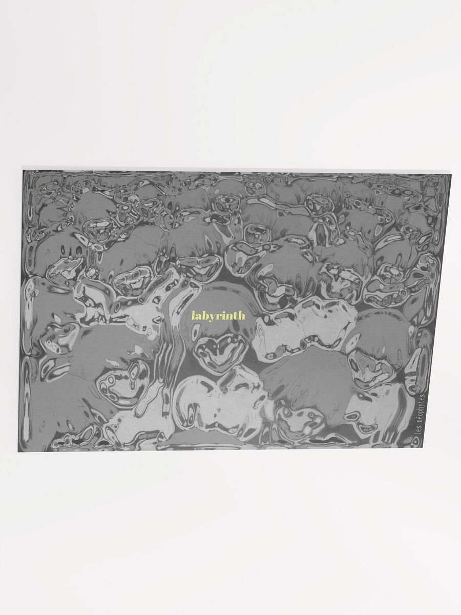labyrinth print v.2 product image (3)