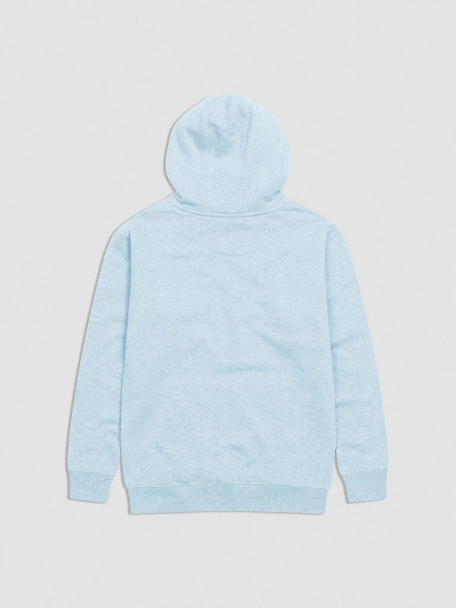 Cruise With Ben and David Logo Embroidered Unisex Hoodie - Baby Blue product image (2)