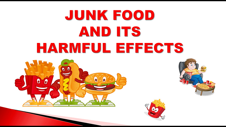 Junk Food PPT Presentation product image (1)