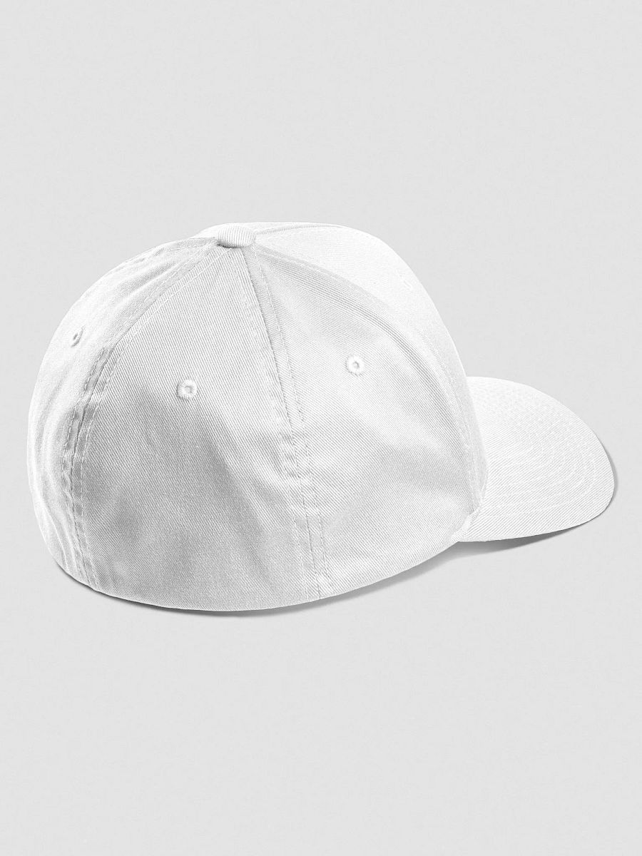 Loyal BBN Flexfit Cap product image (12)