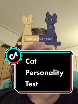 I saw that eclipse means you're balanced but I don't actually know. #personalitytest #cattest #cat 