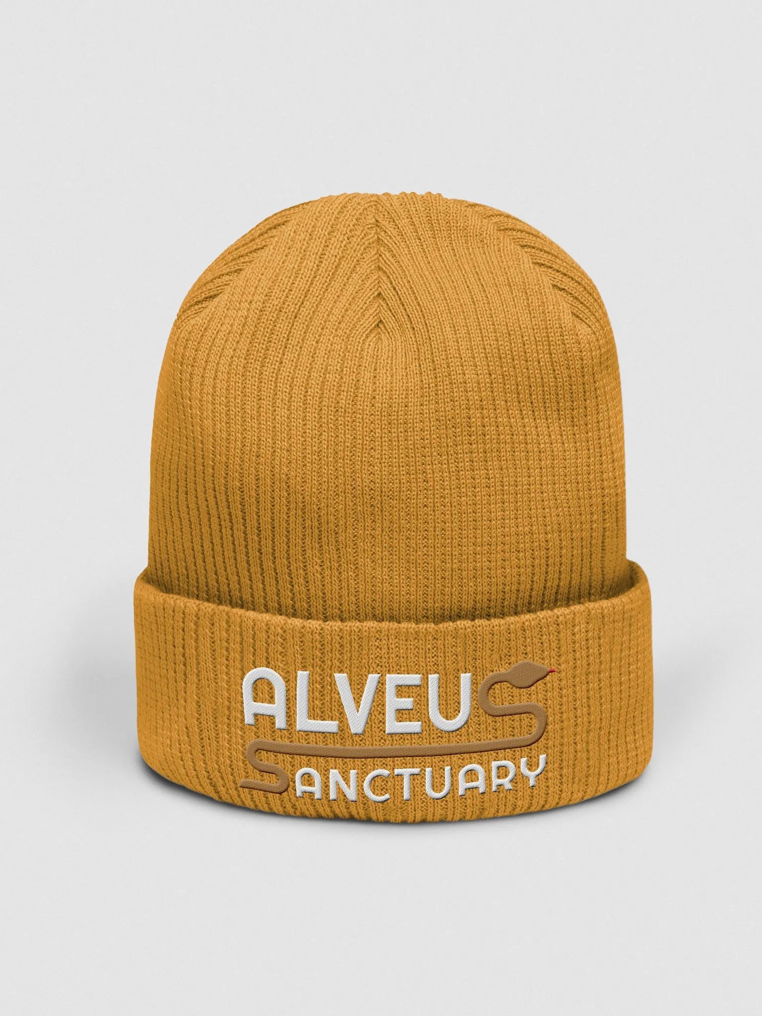 Noodle Beanie product image (48)