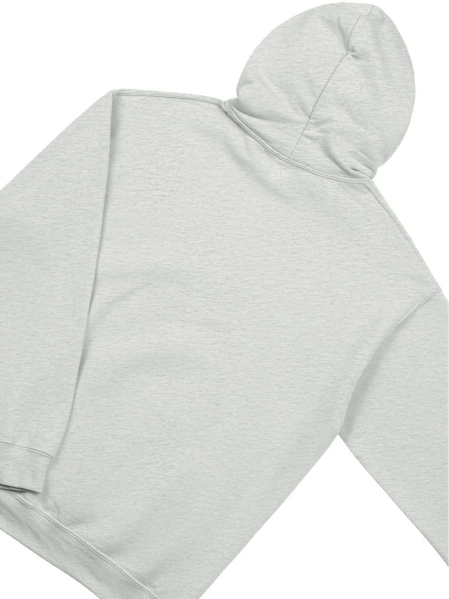 Please Turn Off Fox News. It Will Help America! - Hoodie product image (5)