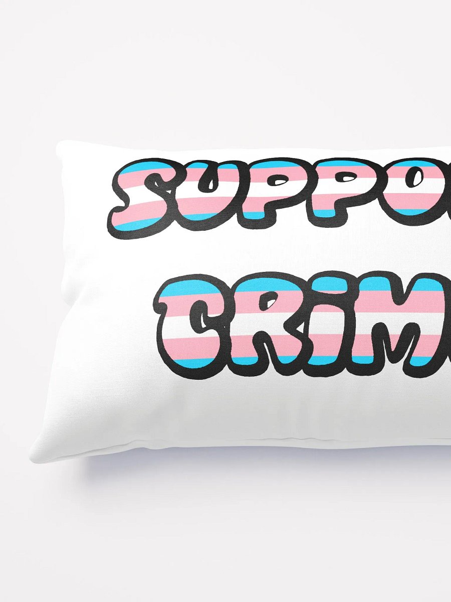 Trans Crime Decorative Pillow product image (3)