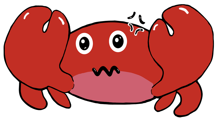 Fight Me Crab Shirt product image (5)