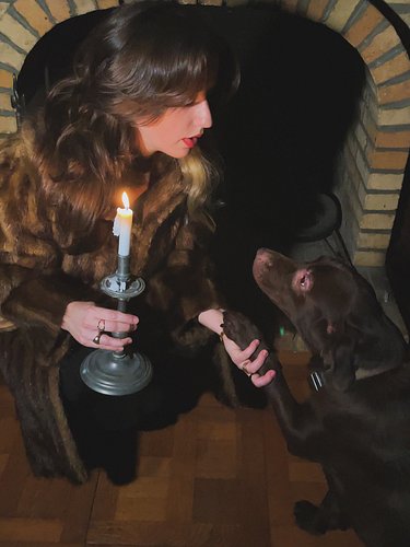 Where is your self esteem at ?
1 - Dogs make it smooth
2 - Candles make it romantic
3 - Playfulness make it high 

📸 @elisa_r...