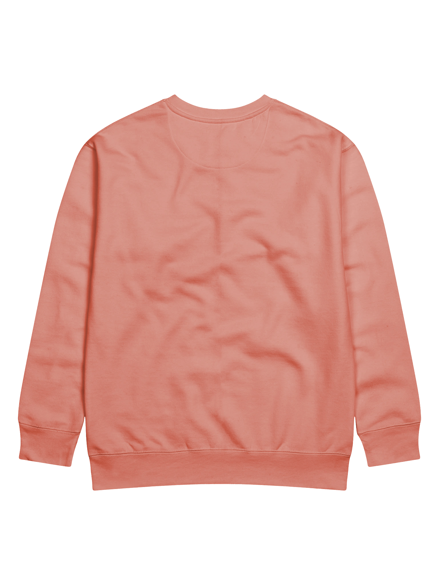 Funny Rottweiler Premium Sweatshirt product image (15)