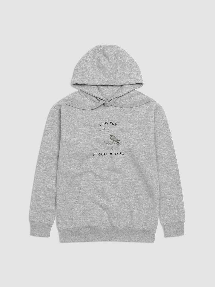 I am not Gullible Hoodie product image (1)