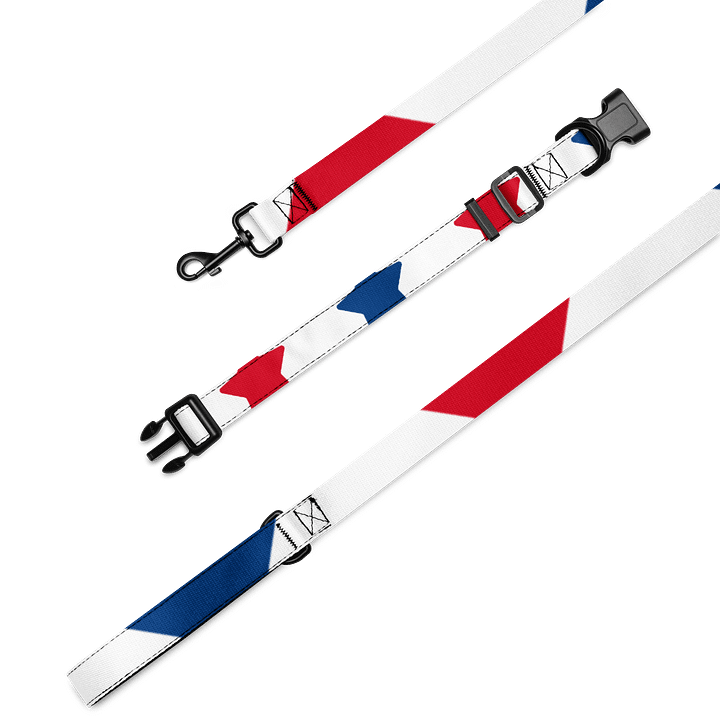 Vibrant Stripes Pet Collar & Leash Set product image (2)
