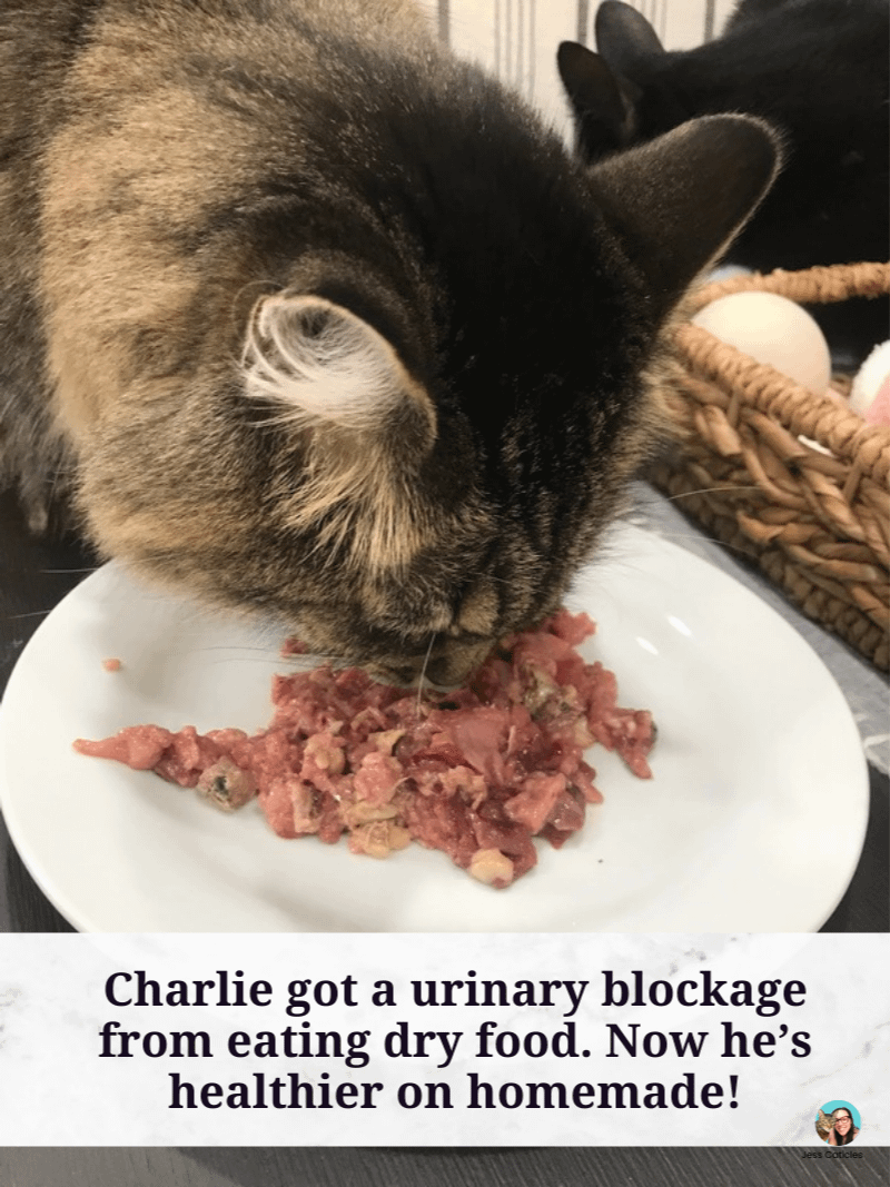 Fresh Cat Food Recipes eBook ~ Raw and Cooked Meals for Adult Cats product image (4)