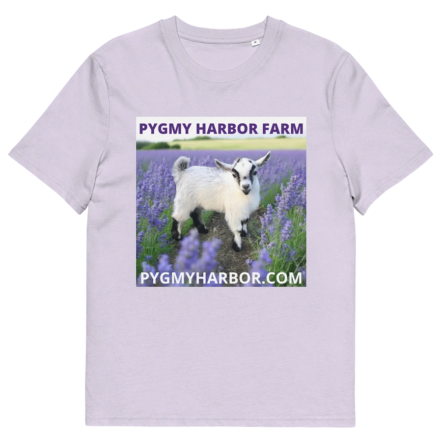 ADULT PYGMY GOAT T-SHIRT product image (18)