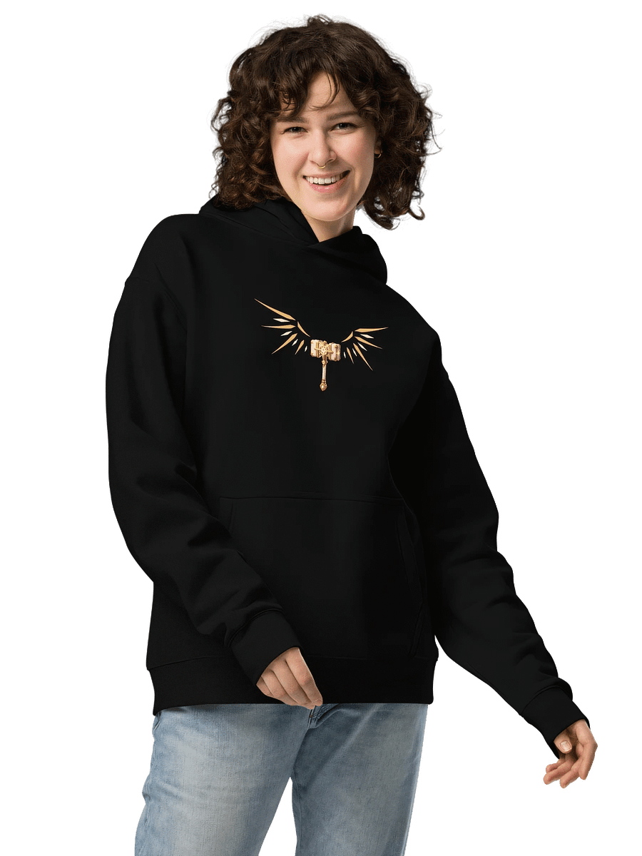 WingsIsUp Unisex Hoodie product image (3)