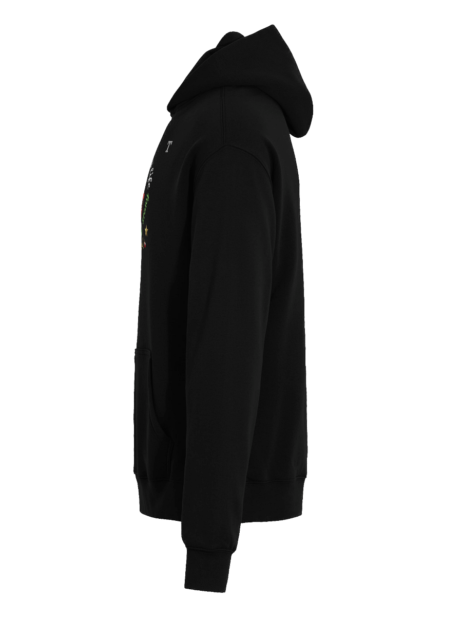Harmony Notes Unisex Aishmoney Hoodie product image (7)