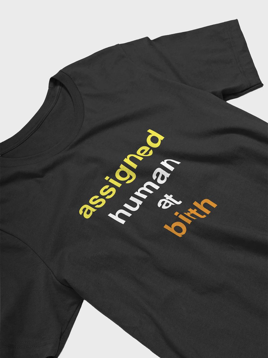 assigned human at birth maverique t-shirt product image (3)
