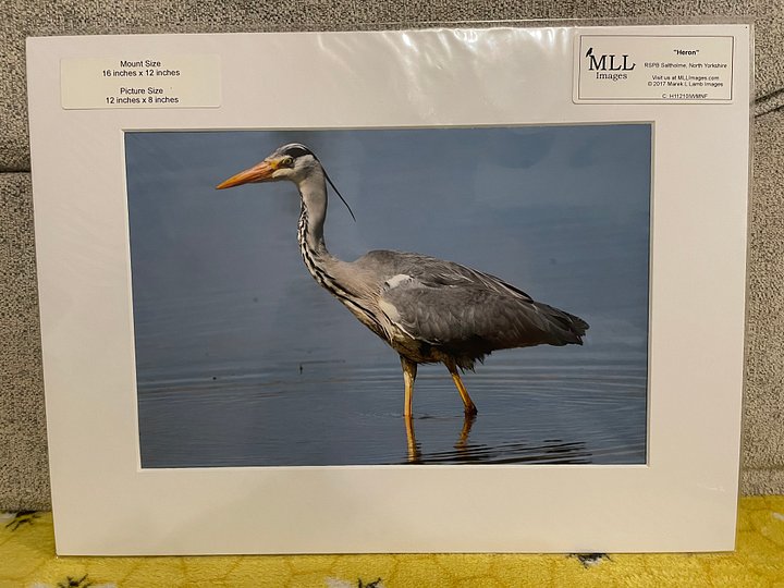 Heron Print product image (1)