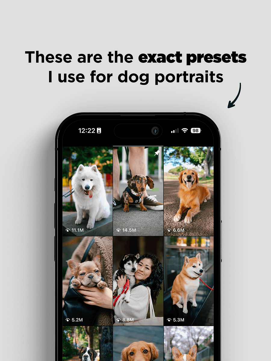 Pawtrait Presets product image (2)