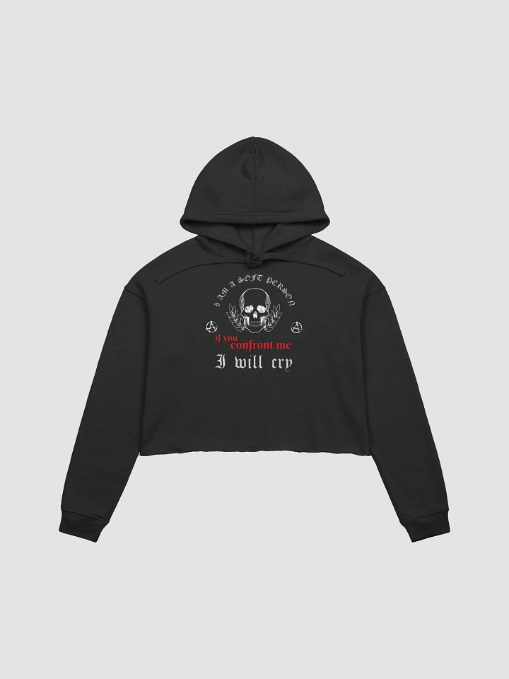 Soft Person fleece crop hoodie product image (2)