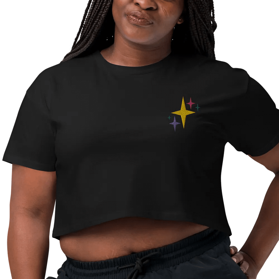 stardust embroidered crop tee product image (3)