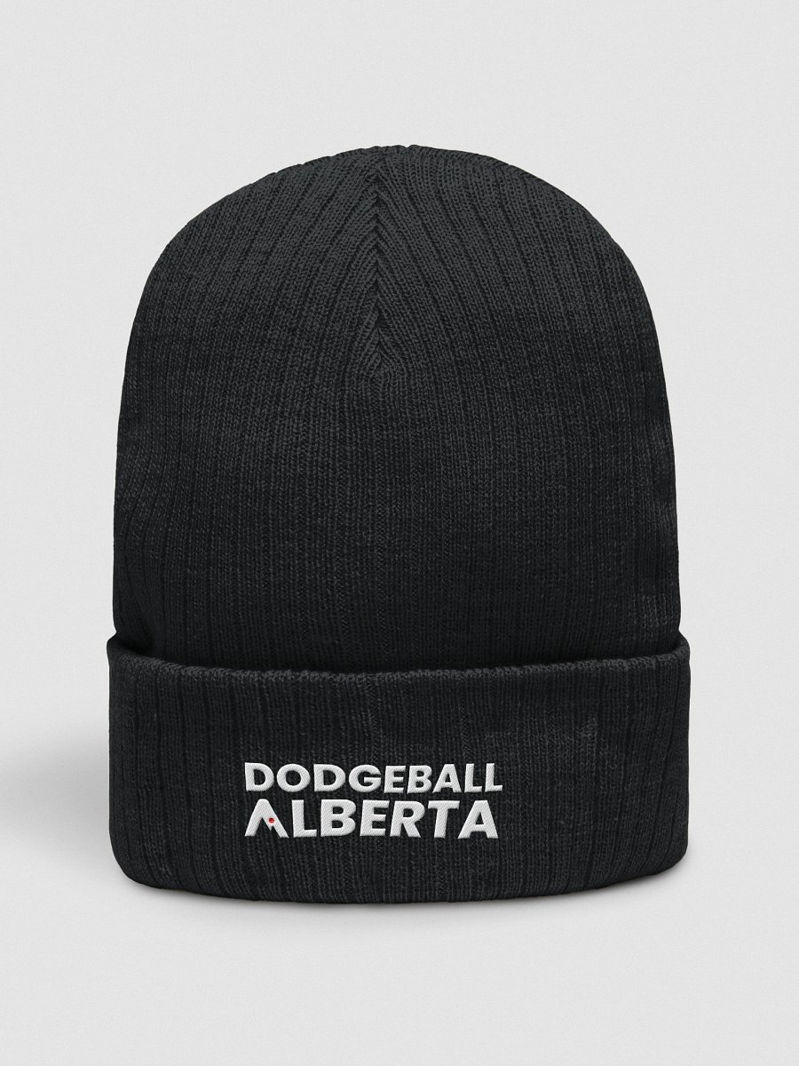 Alberta Dodgeball Touque product image (1)