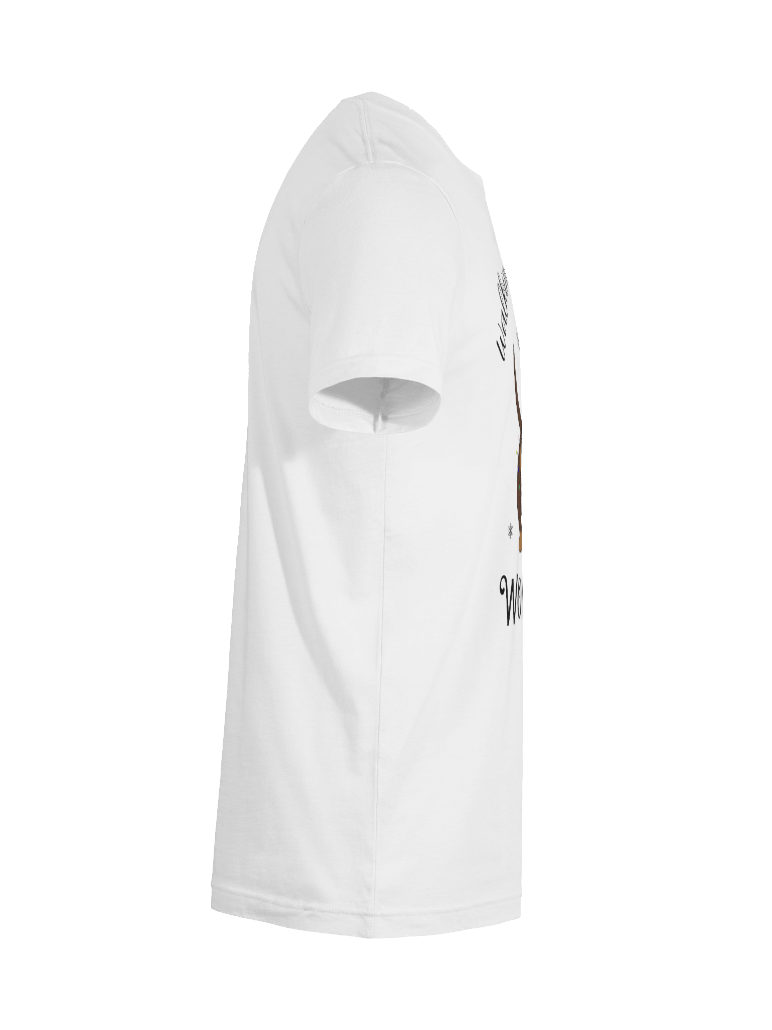 Walking In A Weiner Wonderland- Cute Christmas Dachshund T-Shirt product image (12)