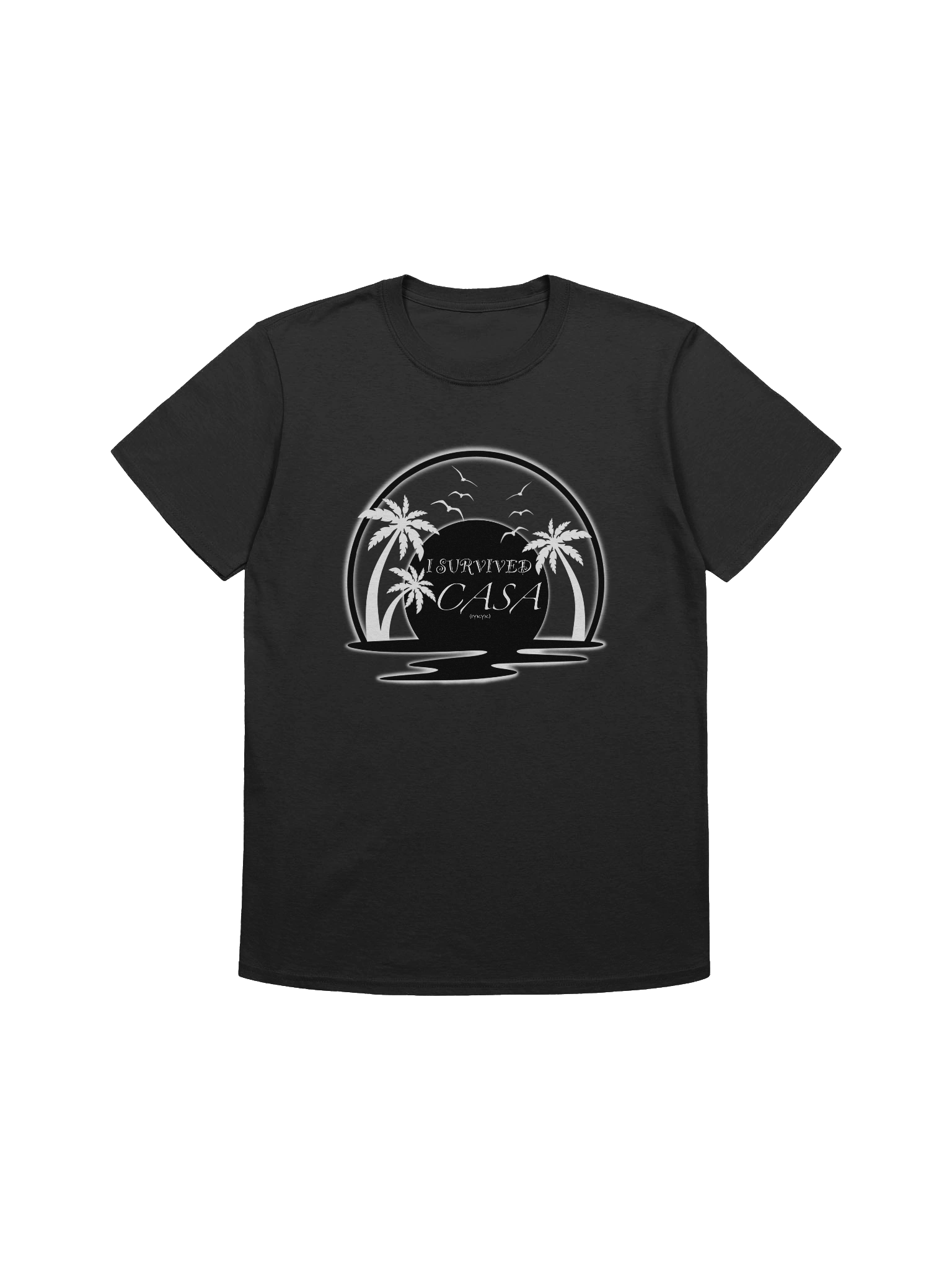 I Survived Casa Dark product image (4)