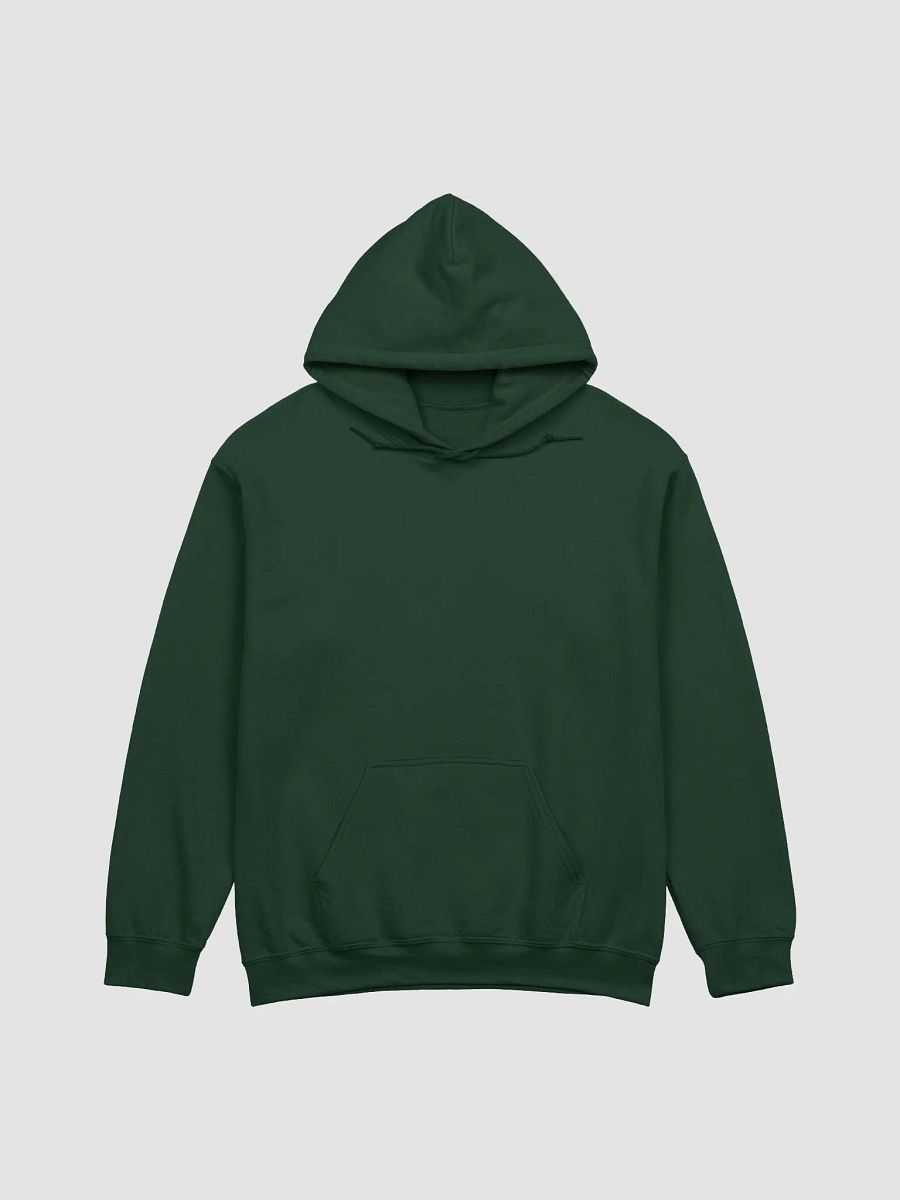 Holly Spirit Activated, Christian Gildan Hoodie - Back Design product image (4)