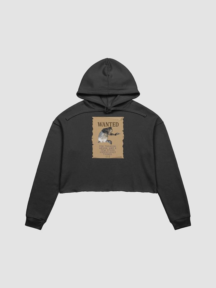 Miso Wanted Poster Cropped Hoodie product image (2)