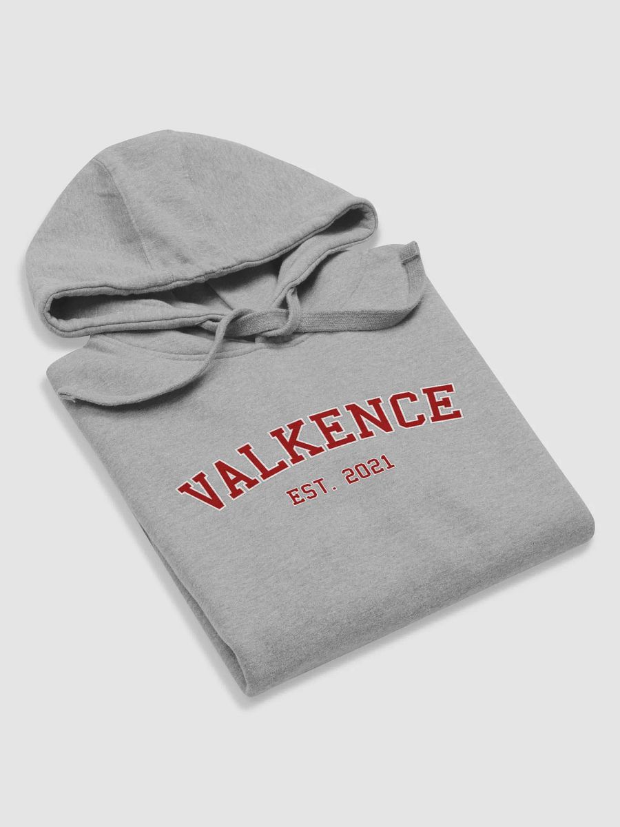Varsity Hoodie product image (54)