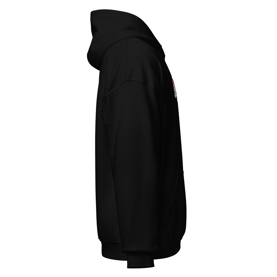 Alternative Bisexual Pride Hoodie (4-5XL) product image (3)