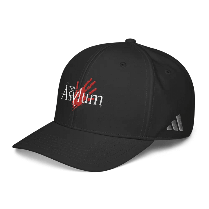 The Asylum product image (2)
