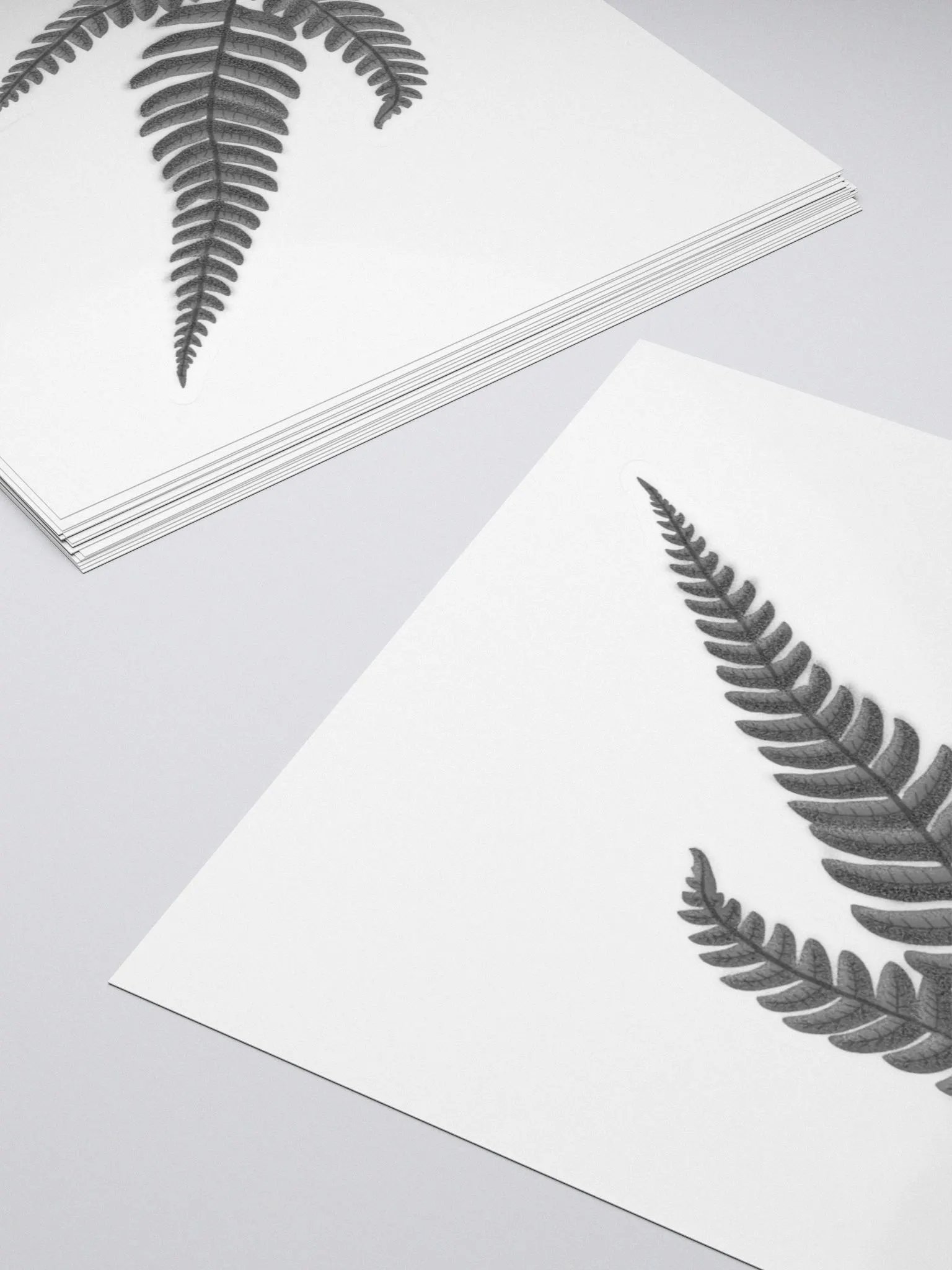 Silver Fern Sticker product image (7)